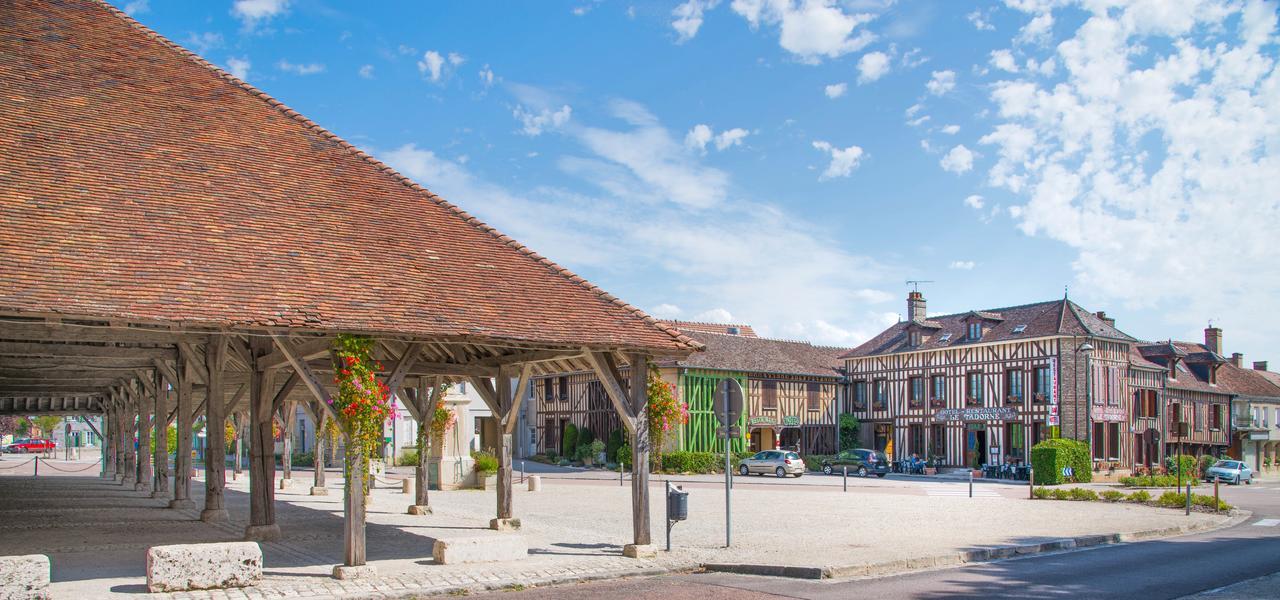 Logis Le Tadorne Hotel Piney Eksteriør billede